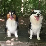 Panzió Le Buisson 4*