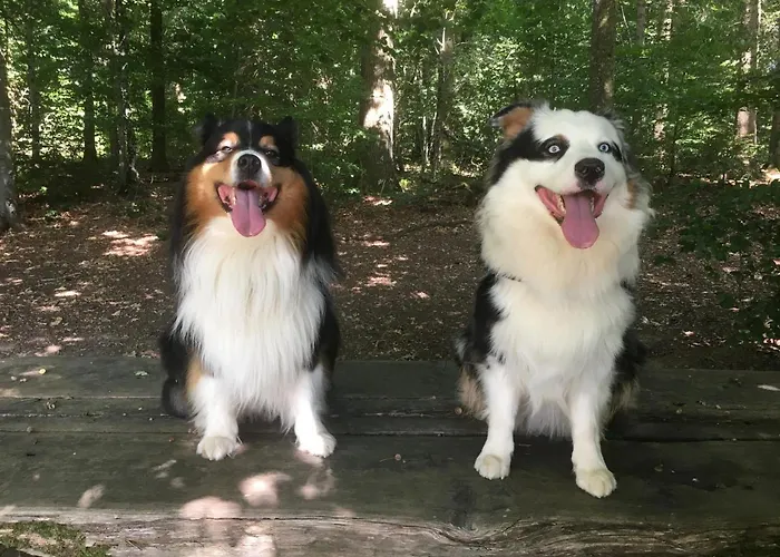 Couette-café Le Buisson 4*